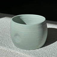 Lagoon Cup